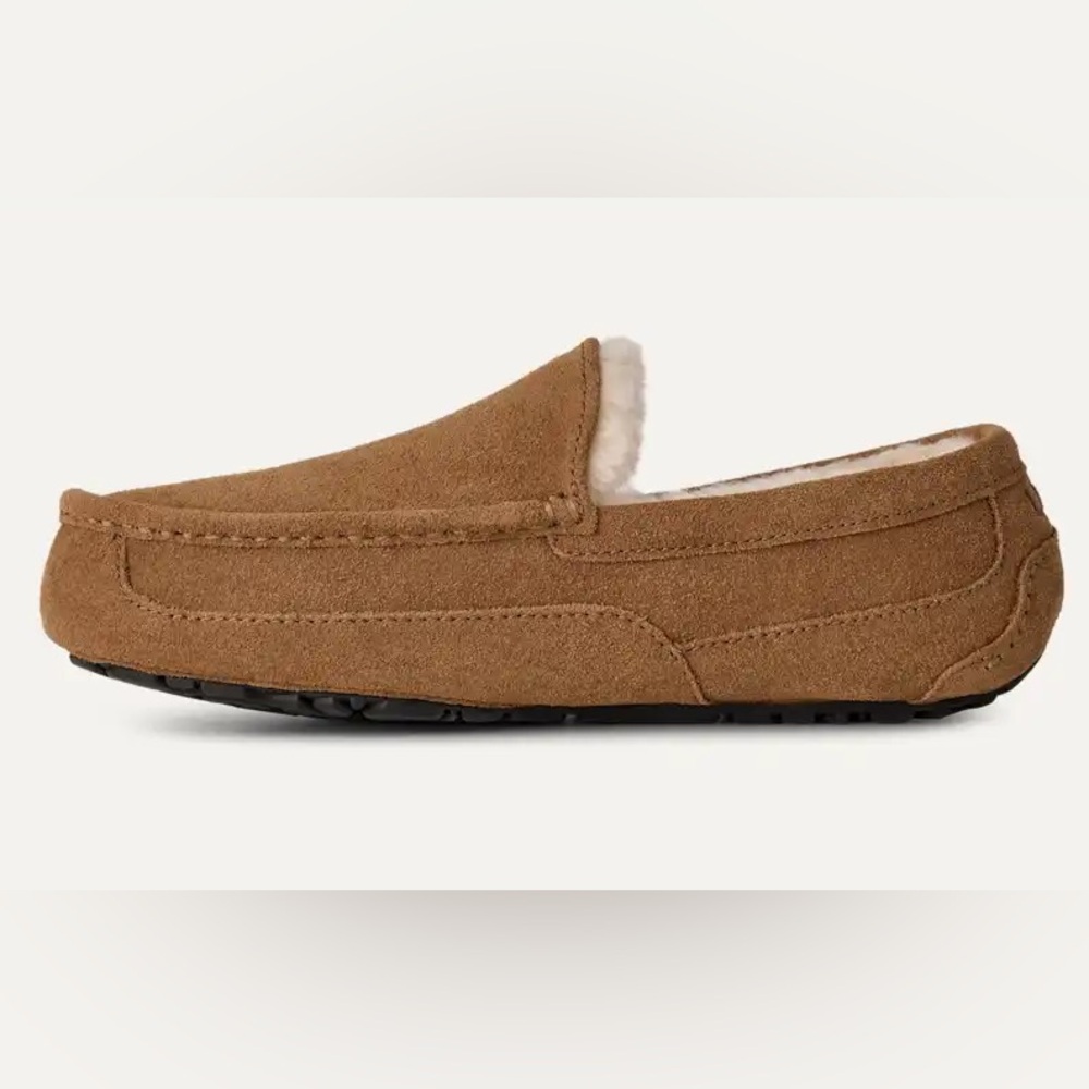 NIB UGG Ascot Slipper